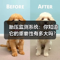 胎压监测系统:你知道它的重要性有多大吗?(图2) 胎压监测系统:你知道它的重要性有多大吗?(图2)