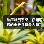 胎压监测系统：你知道它的重要性有多大吗？