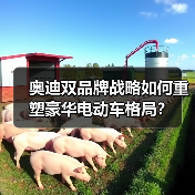 奥迪双品牌战略如何重塑豪华电动车格局？（图4）