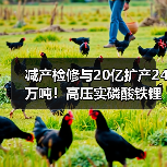 减产检修与20亿扩产24万吨!高压实磷酸铁锂产能加速释放(图2) 减产检修与20亿扩产24万吨!高压实磷酸铁锂产能加速释放(图2)
