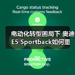 电动化转型困局下 奥迪E5 Sportback如何重塑豪华车新标杆？（图3）