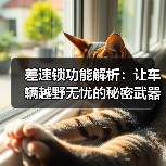 差速锁功能解析：让车辆越野无忧的秘密武器（图4）