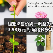 理想i8售价统一调整为33.98万元 标配诸多豪华配