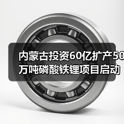 内蒙古投资60亿扩产50万吨磷酸铁锂项目启动（图3）