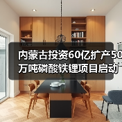内蒙古投资60亿扩产50万吨磷酸铁锂项目启动（图2）