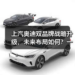 上汽奥迪双品牌战略升级，未来布局如何？一张图速览（图4）