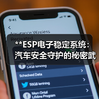 **ESP电子稳定系统：汽车安全守护的秘密武器**（图1）
