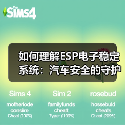 如何理解ESP电子稳定系统：汽车安全的守护神（图4）