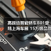 高颜值智能轿车B01登陆上海车展 15万级品质引领年轻市场（图2）