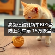 高颜值智能轿车B01登陆上海车展 15万级品质引领年轻市场（图4）