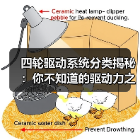 四轮驱动系统分类揭秘：你不知道的驱动力之谜（图4）