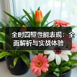 全时四驱性能表现：全面解析与实战体验（图2）