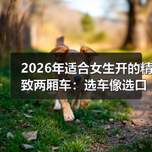 2026年适合女生开的精致两厢车：选车像选口红，别被参数吓退（图4）