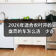 2026年适合农村开的底盘高的车怎么选：少走弯路的实战清单（图4）