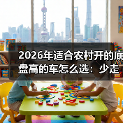 2026年适合农村开的底盘高的车怎么选：少走弯路的实战清单（图3）