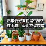汽车爱好者们是否曾为在山路、雪地或泥泞道路中犹豫不决而苦恼？“何时启用适时四驱，才能发挥出最大优势？”这个问题或许困扰了不少人。事实上，适时四驱作为一种智能切换（图4）