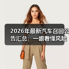 2026年最新汽车召回公告汇总：一眼看懂风险、补救和避坑（图3）