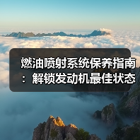 燃油喷射系统保养指南：解锁发动机最佳状态的秘密（图2）