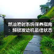 燃油喷射系统保养指南：解锁发动机最佳状态的秘密（图3）