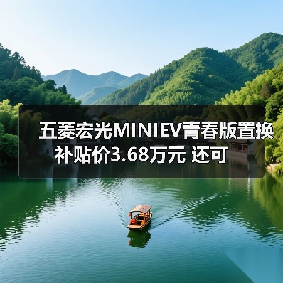五菱宏光MINIEV青春版置换补贴价3.68万元 还可（图4）