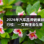 2026年汽车品牌销量排行榜：一文看懂谁在爆发、谁在掉队（图2）