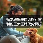 极氪进军美国凭啥？吉利的三大王牌优势解析（图3）