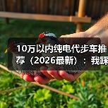 10万以内纯电代步车推荐（2026最新）：我踩过的坑与真香清单（图3）