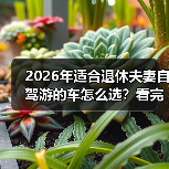 2026年适合退休夫妻自驾游的车怎么选？看完少走3年弯路