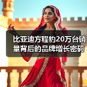 比亚迪方程豹20万台销量背后的品牌增长密码（图3）