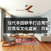 现代丰田联手打造高性能赛车文化盛宴，共襄盛典（图2）