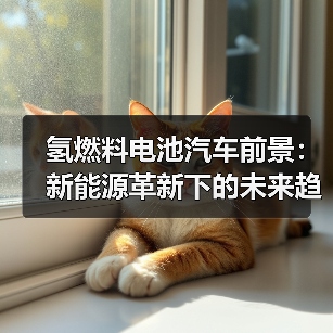 氢燃料电池汽车前景：新能源革新下的未来趋势（图3）