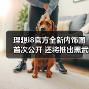 理想i8官方全新内饰图首次公开 还将推出黑武士