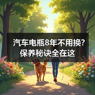 汽车电瓶8年不用换？保养秘诀全在这（图2）