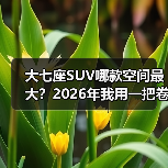 大七座SUV哪款空间最大?2026年我用一把卷尺测出来的答案与避坑清单(图1) 大七座SUV哪款空间最大?2026年我用一把卷尺测出来的答案与避坑清单(图1)