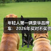 年轻人第一辆豪华品牌车:2026年买对不买贵的6个关键判断(图2) 年轻人第一辆豪华品牌车:2026年买对不买贵的6个关键判断(图2)