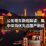 公务用车新规解读：集中采购优先选国产新能源车（图2）