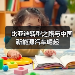 比亚迪转型之路与中国新能源汽车崛起（图3）