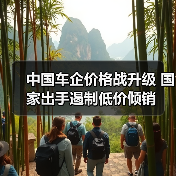 中国车企价格战升级 国家出手遏制低价倾销（图2）