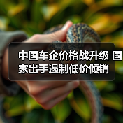 中国车企价格战升级 国家出手遏制低价倾销（图4）