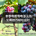 冬季电瓶亏电怎么防？实用技巧轻松应对
