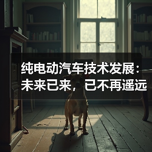 纯电动汽车技术发展：未来已来，已不再遥远（图3）