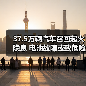 37.5万辆汽车召回起火隐患 电池故障或致危险（图3）