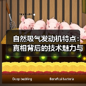 自然吸气发动机特点：真相背后的技术魅力与行业趋势