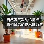 自然吸气发动机特点：真相背后的技术魅力与行业趋势（图3）