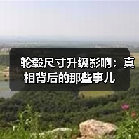 轮毂尺寸升级影响：真相背后的那些事儿（图3）