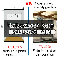 电瓶突然没电？3分钟自检技巧教你告别抛锚尴尬（图4）