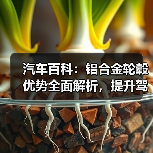 汽车百科：铝合金轮毂优势全面解析，提升驾驶体验的秘密武器（图4）