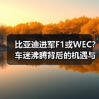 比亚迪进军F1或WEC？车迷沸腾背后的机遇与挑战（图4）