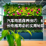 汽车电瓶保养技巧：延长电瓶寿命的实用秘籍（图4）
