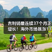 吉利销量连续37个月正增长！海外市场暴涨138%（图3）